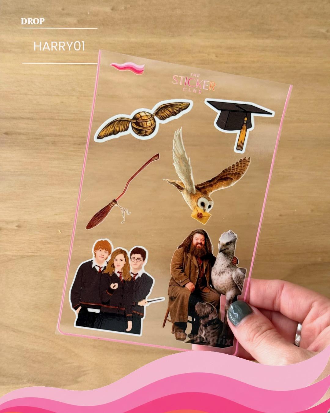 Plancha de stickers HARRY01
