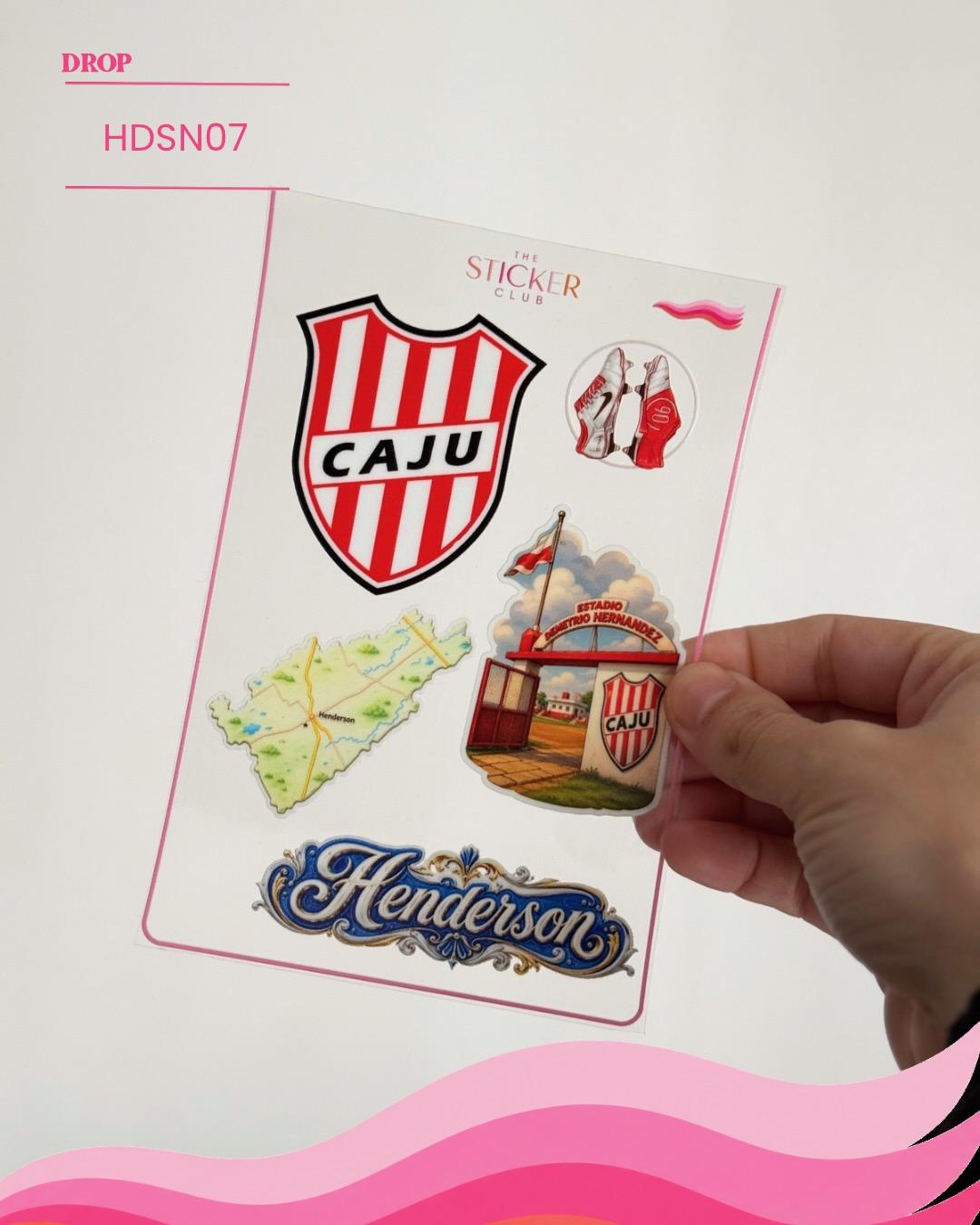 Plancha de stickers HDSN07
